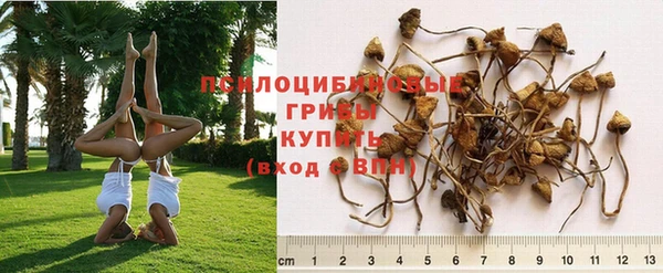 гашик Абинск