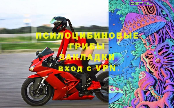 гашик Абинск