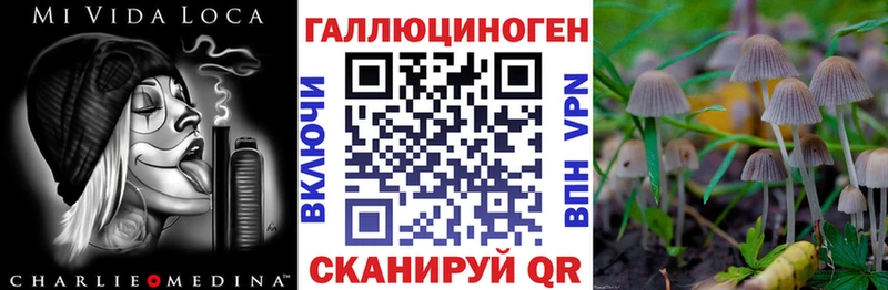 Галлюциногенные грибы мицелий  Раменское 